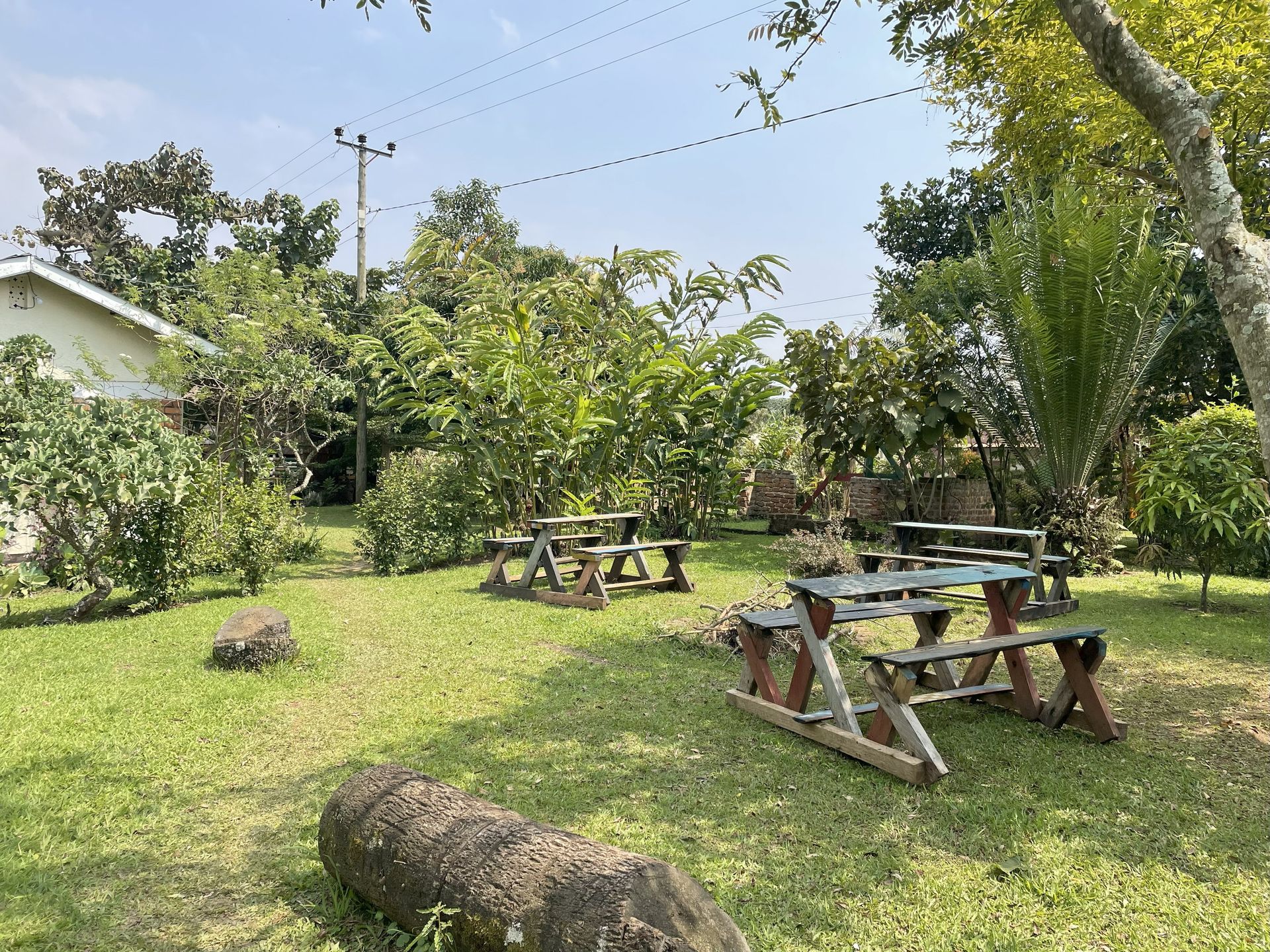 Pristine nature at orucuba gardens
